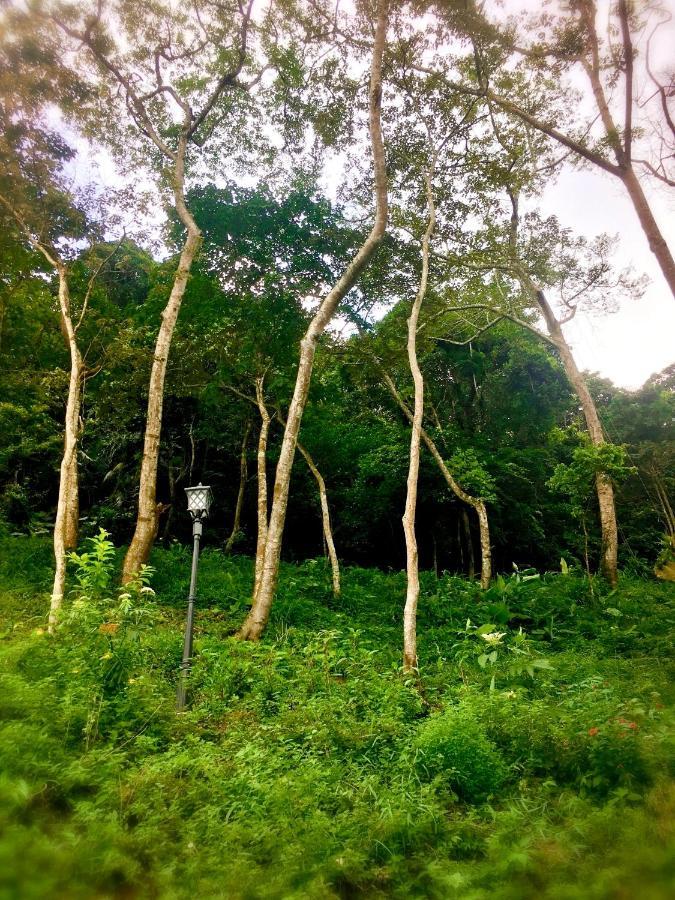 Wan Ruey Resort Hengshan Экстерьер фото